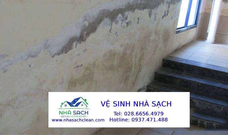 Cách Xử Lý Rêu Mốc, Vết Bẩn Lâu Năm Trên Mái Tôn, Tường Ngoài Trời