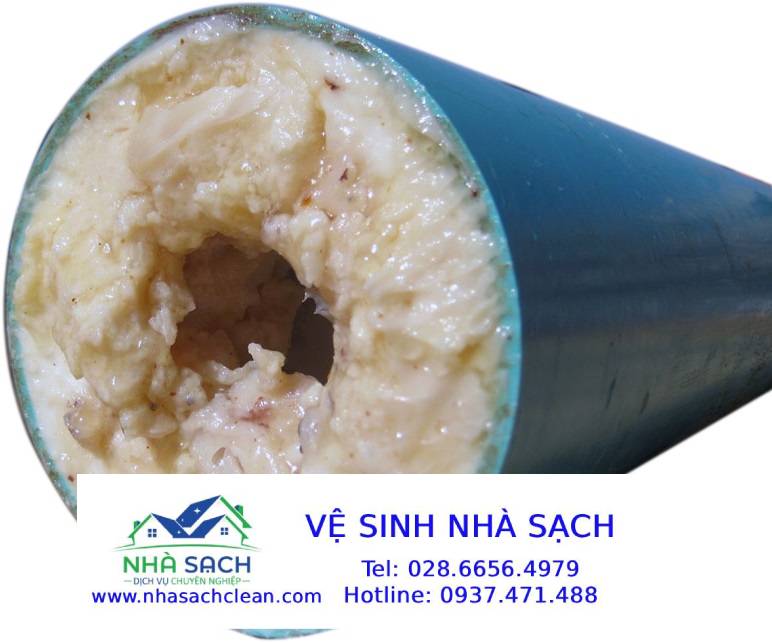 Pathways - Hóa Chất Phân Hủy Sinh Học Hiệu Quả Và An Toàn