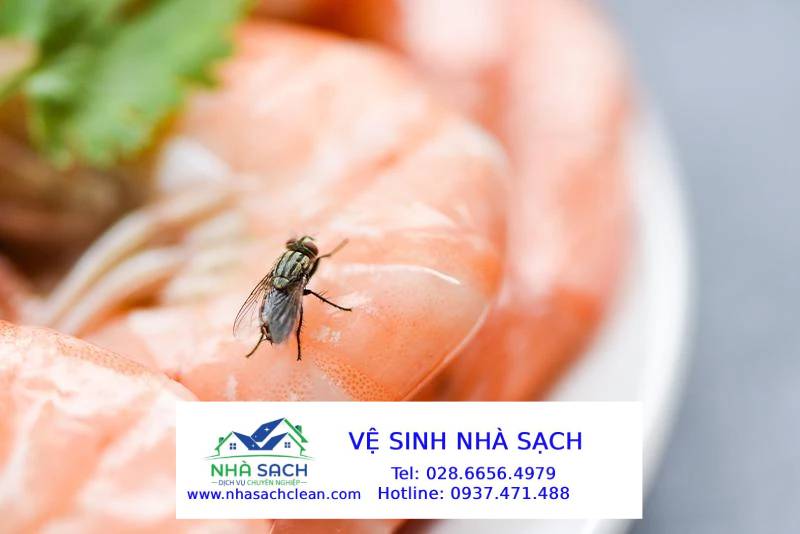 Quy Tắc Giữ Gìn An Toàn Vệ Sinh Thực Phẩm Cho Bếp Nhà Hàng, Bếp Công Nghiệp